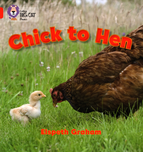 chick to hen